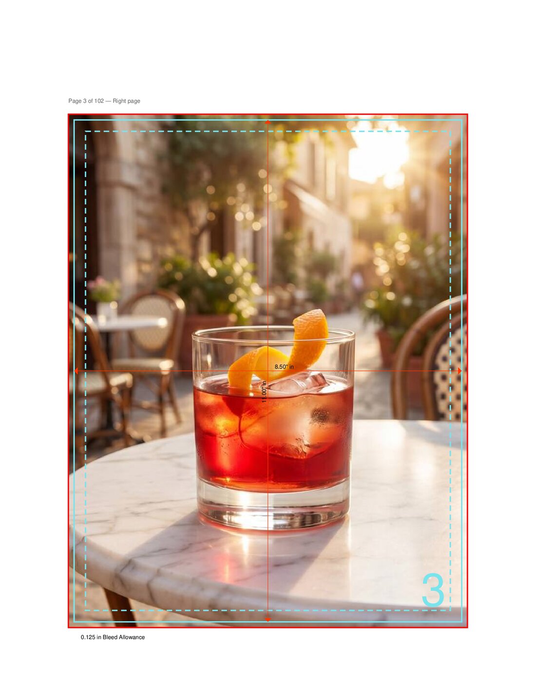 Classic Cocktails — The Negroni page